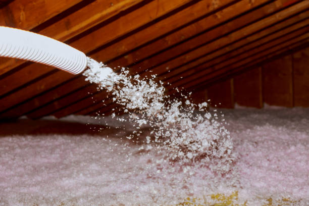 Best Cellulose Insulation  in Bettendorf, IA