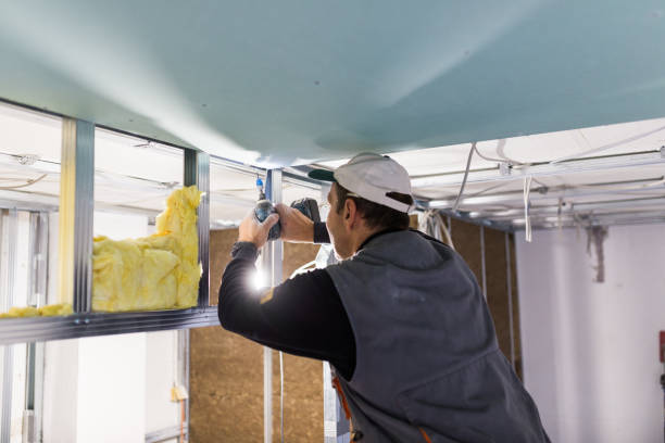 Best Insulation Replacement Services  in Bettendorf, IA