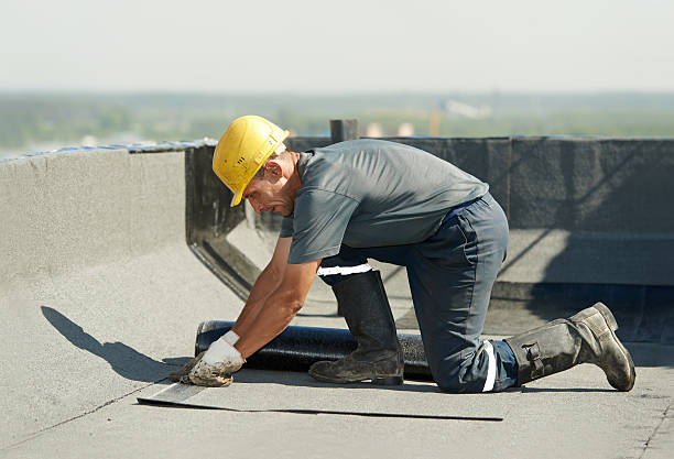 Best Insulation Contractor Near Me  in Bettendorf, IA