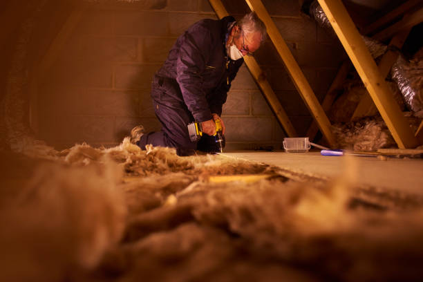 Best Insulation Repair Services  in Bettendorf, IA